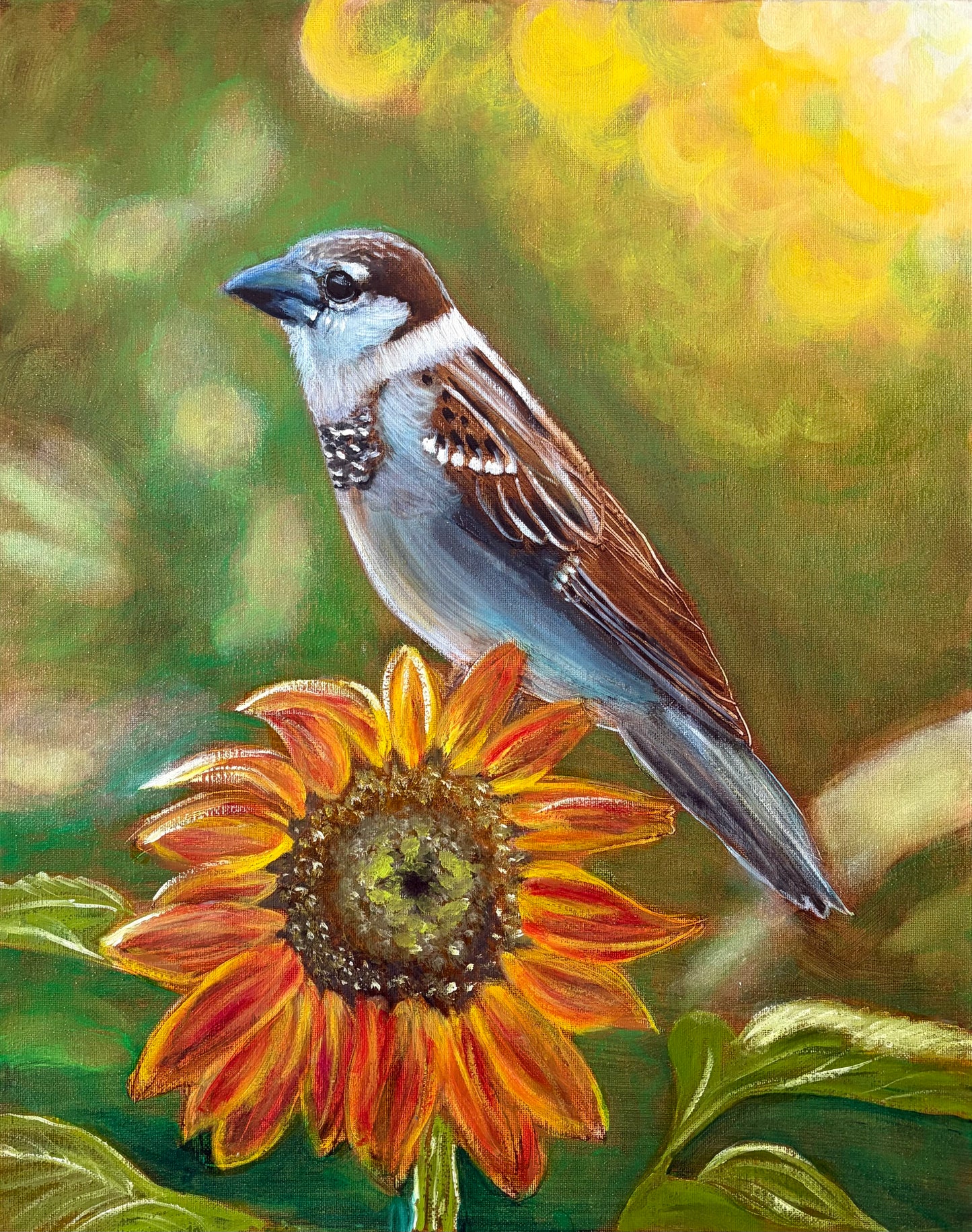 Sitting on Sunshine